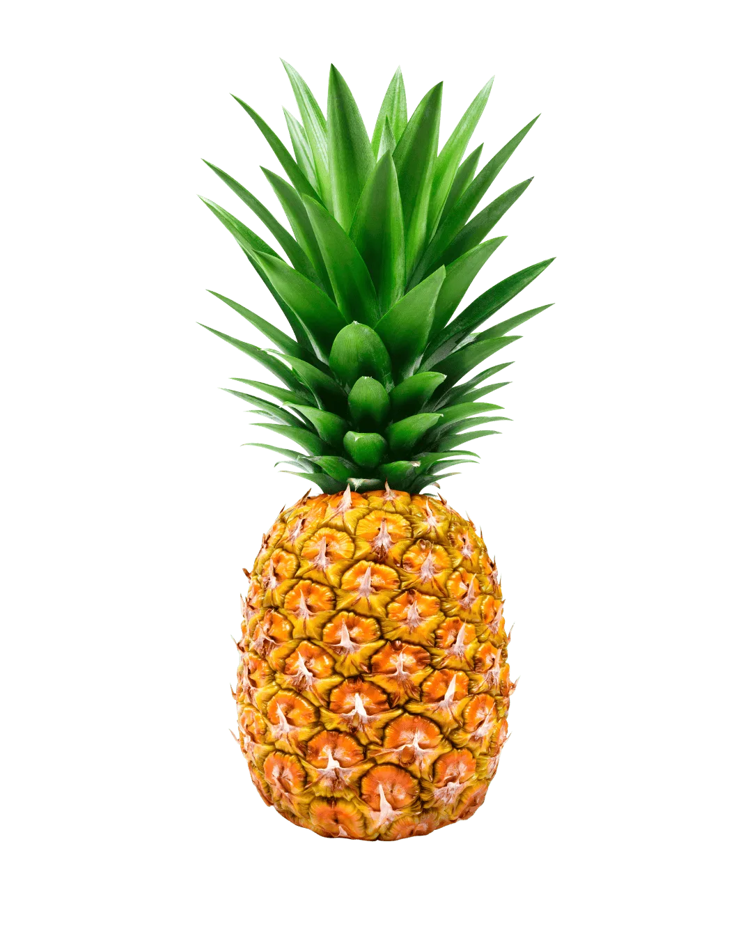 ananas suszony Filipinka 1